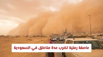 عاصفة رملية واسعة.. تحذيرات من تدني الرؤية في مناطق سعودية عدة خلال ساعات